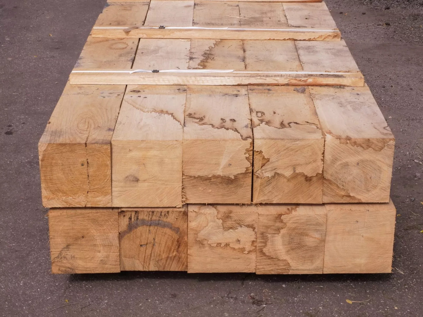 Fresh Sawn Oak Beam, 200x200x2400 mm