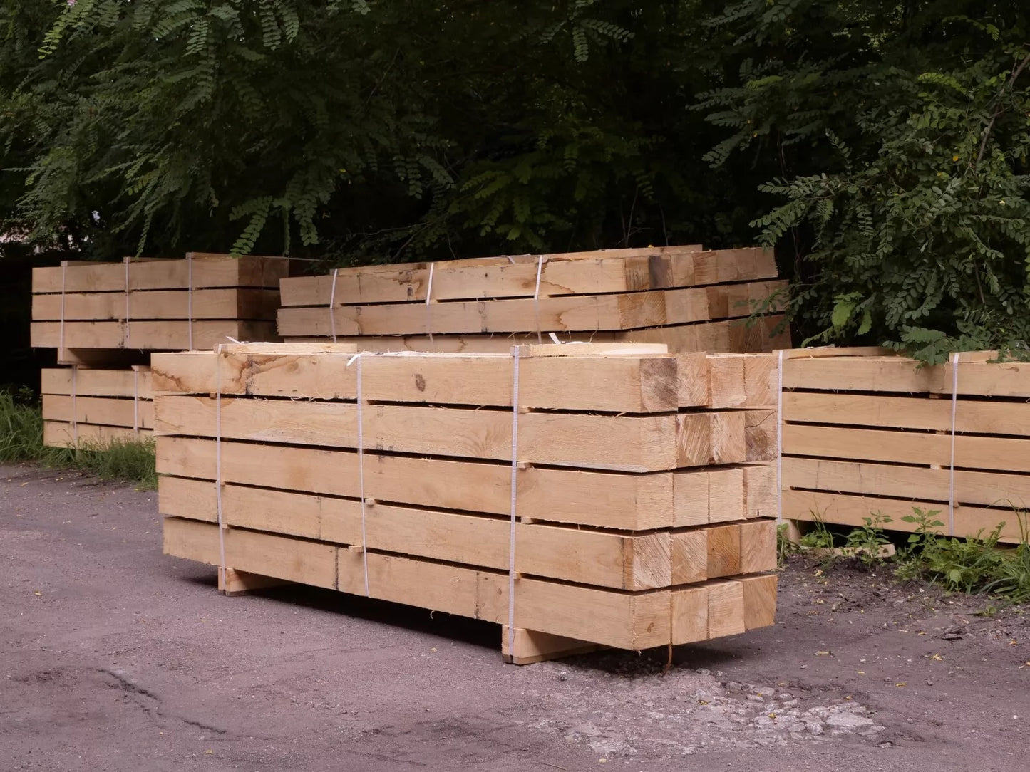 Fresh Sawn Oak Beam, 130x130x2400 mm
