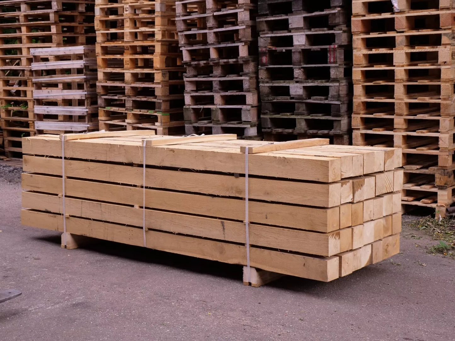 Fresh Sawn Oak Beam, 100x100x1000 mm