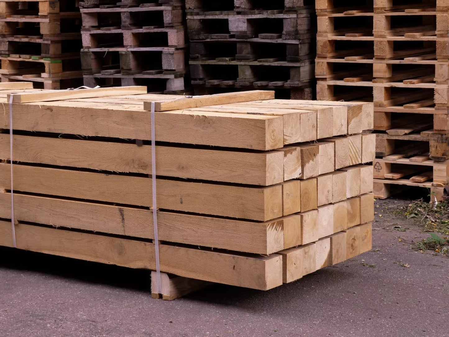 Fresh Sawn Oak Beam, 100x100x1000 mm